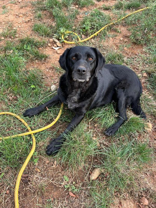 ❤️💕LINDA- CERCA CASA 🏠😍😍 Foto 7